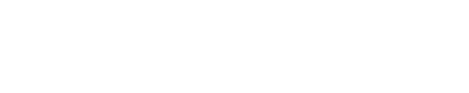 Media Geek